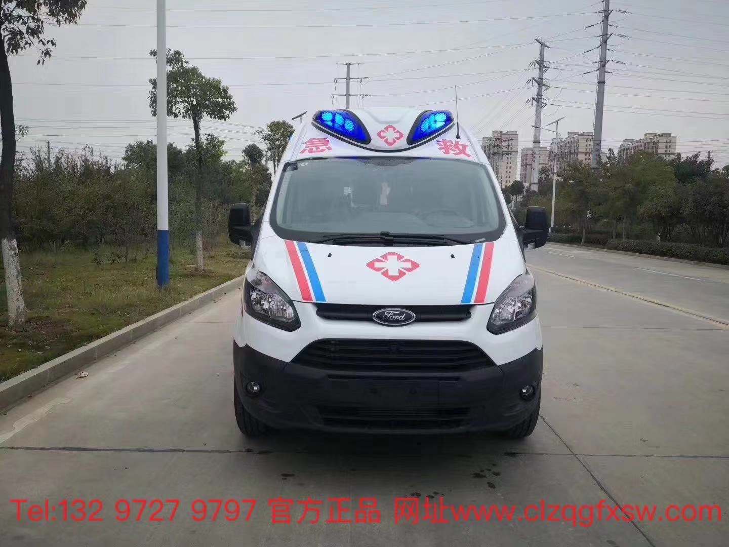 1台福特新全顺V36217c一起草---发往湖南衡阳